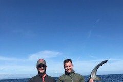 Dungarvan charter trips prducing shark and good white fish