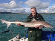 Tope catches inshore off Wicklow, while offshore Wreck produce a few good Pollock