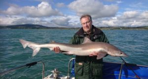 Tope catches inshore off Wicklow, while offshore Wreck produce a few good Pollock