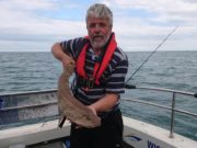 Tope, Bulls and Hounds for Wicklow Anglers