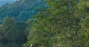 Gold for Irish fly anglers in Scotland