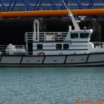MaryD-825×510