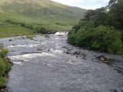 Very good fishing reported from the Erriff