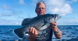 Good Mix of Species for Sea Angling Charters in Union Hall