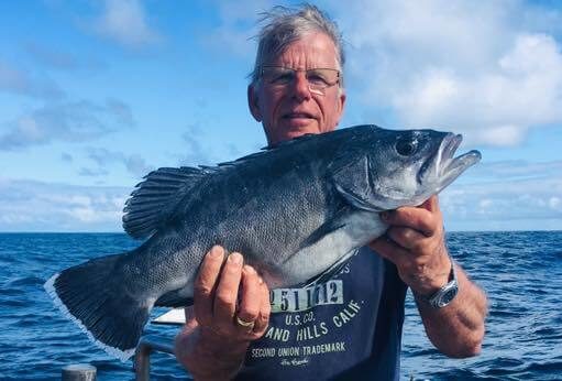 Good Mix of Species for Sea Angling Charters in Union Hall