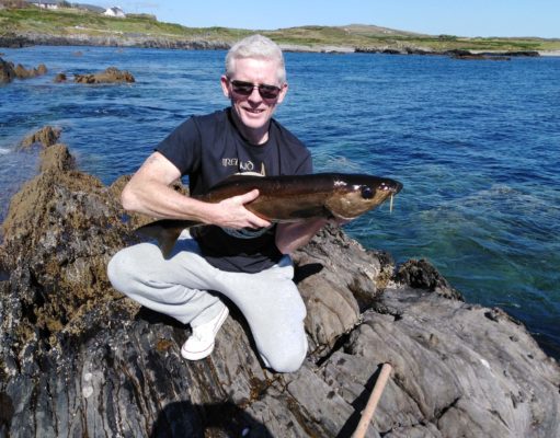 Pollack on the rocks in Castletownbere