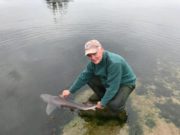 A Super Smoothie for Willie in Wicklow with 22lbs of Hound