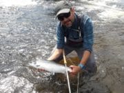 Catches remaining good on the Moy