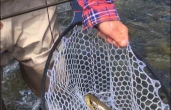 Nice Trout Fishing for Noel on the River Nore