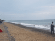 Rory McDowell crowned All Ireland Smooth Hound Champion