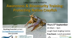 Protecting Native Crayfish