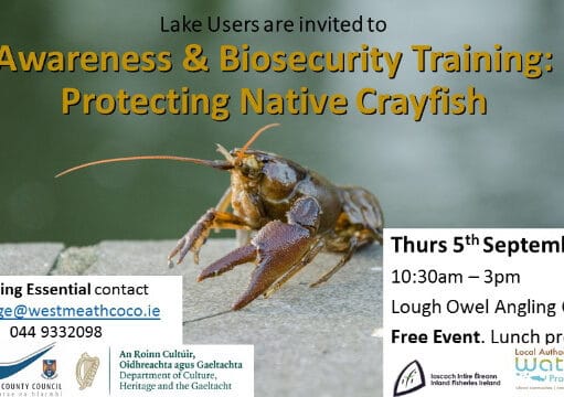 Protecting Native Crayfish