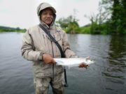Salmon last week, Blackwater levels low again, but rain forecast for weekend