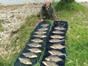 Great bream catches in Longford area continue