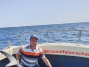Blue sharks and porbeagles off Dungarvan coast