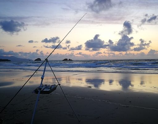 Interesting fishing for Tralee Bay SAC on Barrow Beach