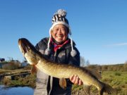 Angling tourists catch whopping pike on River Erne Tourist with catch