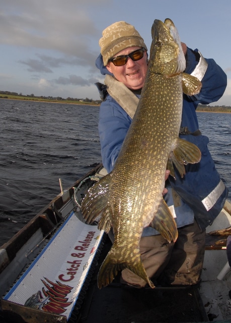 Spotted like a leopard this pike