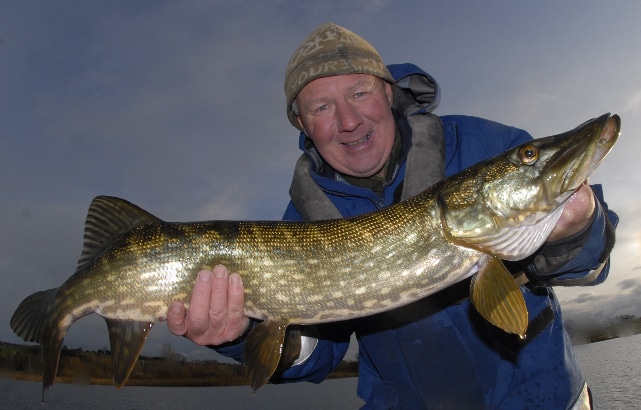 As darkness fell this pike took a savage eel Lure