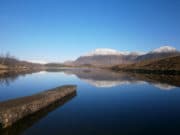 Irish Angling Update – 19 December 2019