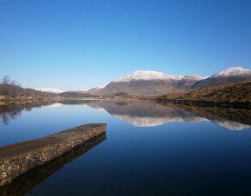 Irish Angling Update – 19 December 2019
