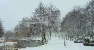 winter