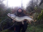 Pike to 21lb 07oz for Newbridge Anglers in Co. Cavan pike