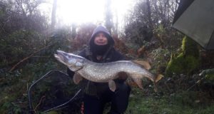 pike