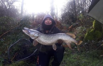 pike