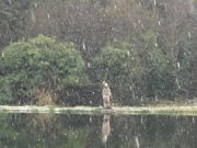 Laois Angling Centre fishes well for AWOL competition Laois Angling Centre