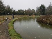 Snow and Rainbows for Rathdrum trout anglers