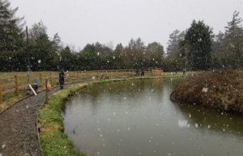 Snow and Rainbows for Rathdrum trout anglers