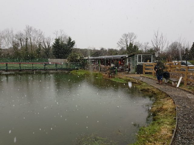 Snow