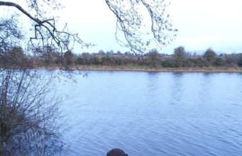 Some good fishing at O’Briensbridge for Munster Coarse anglers