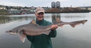 Wicklow Boat Charters Customer Awards 2019 Willie Roche 22.2lb, 122cm long, 58cm Girt Specimen Smooth Hound