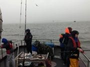 Tough day for junior anglers fishing the All Ireland Boats in Cork Harbour Anglers aboard Camden Mist