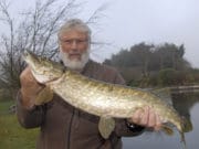 Midlands canal venue good for a quick pike Gordon Davis and Royal Canal pike