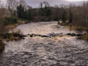 Opening day report from the Drowes River Drowes