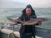 Wicklow Boat Charters getting plenty of SPECIMEN SPUR