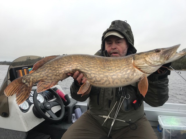 Another well conditioned Irish Pike