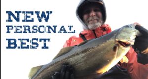 A 10lbs pollack from the shore? You betcha!