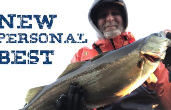 A 10lbs pollack from the shore? You betcha!