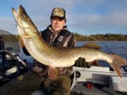 Aaron produces some cracking pike for his clients over Christmas and the New Year Another Cracking Pike fro AM Guiding