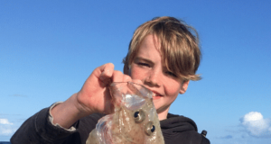 Catch and release the byword as Irish Specimen Fish Committee publishes report