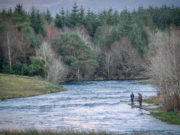 Podcast: Ireland on the Fly