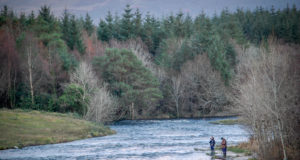 Podcast: Ireland on the Fly
