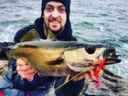 Killybegs Anglers getting a great mix of fishing from the shore