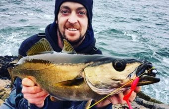Killybegs Anglers getting a great mix of fishing from the shore