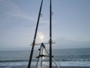 Another Dog Day Afternoon for South Shore anglers