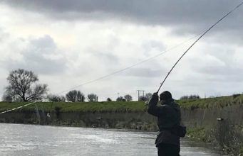 Killocrim-Finuge Fishing Club report first Feale salmon of the year Casting